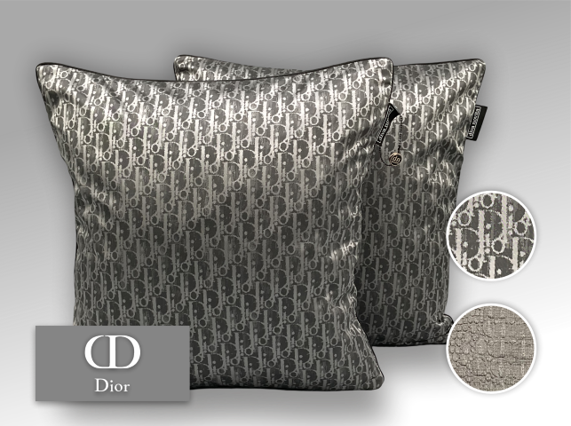 54 - Dior Paris Toile
